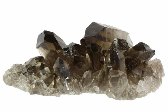 Dark Smoky Quartz Crystal Cluster - Brazil #84802